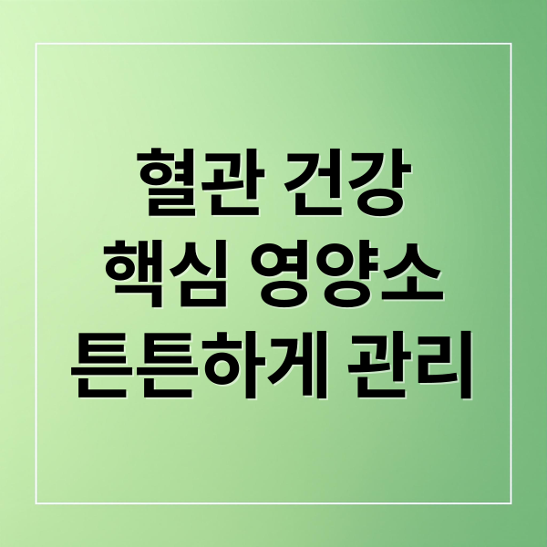 혈관 건강
핵심 영양소
튼튼하게 관리 (혈관 건강 음식 심혈관 질환 예방)