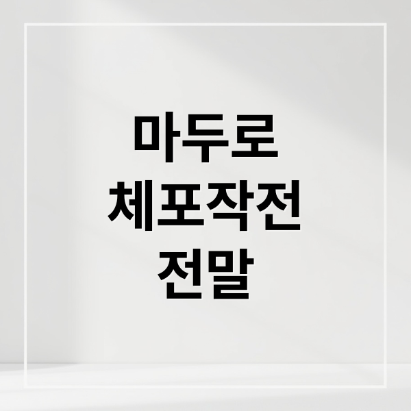 마두로
체포작전
전말 (마두로 체포)