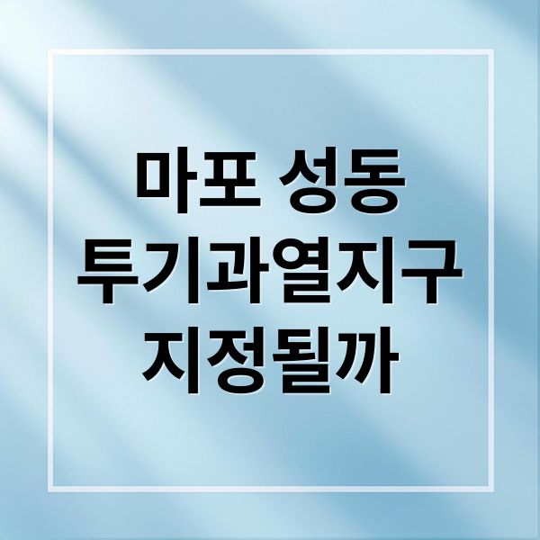 마포 성동
투기과열지구
지정될까 (마포 성동 투기과열지구 지정)