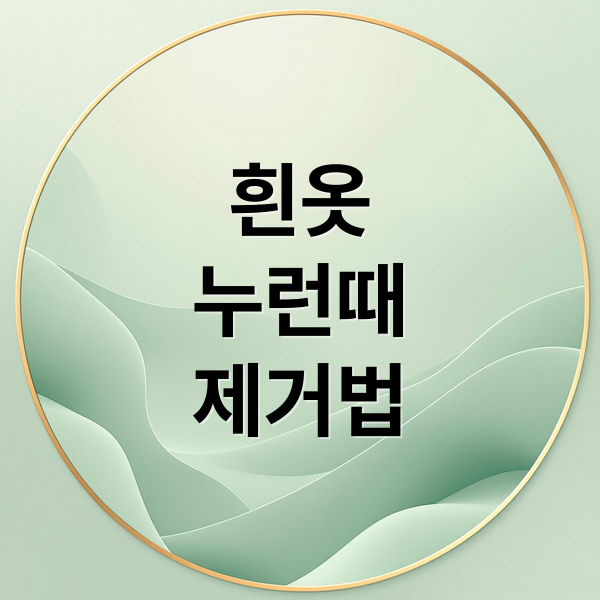 흰옷
누런때
제거법 (흰옷 누런때 제거 방법)