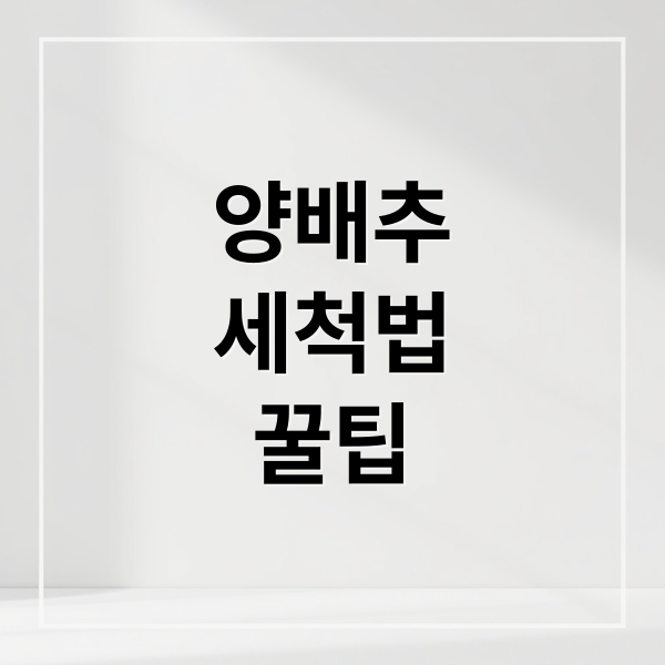 양배추
세척법
꿀팁 (양배추 세척법)