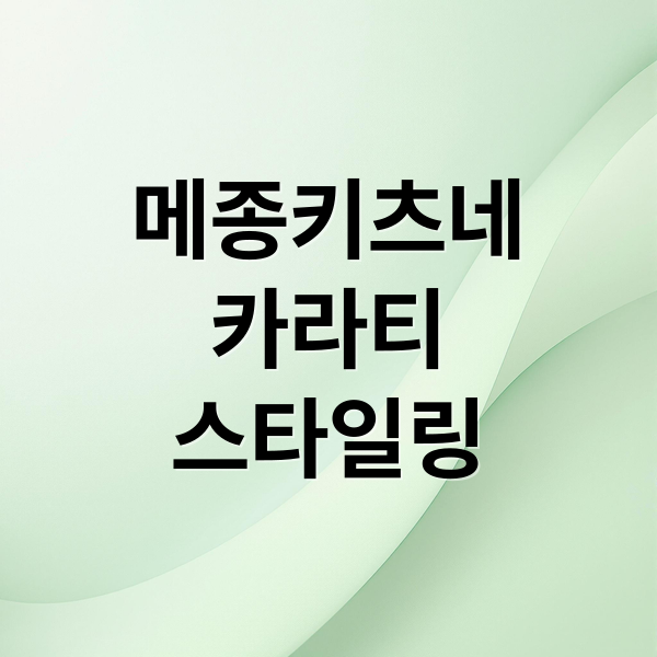 메종키츠네
카라티
스타일링 (메종키츠네 카라티 반팔 종류 핏 사이즈)