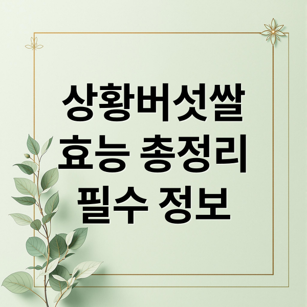 상황버섯쌀
효능 총정리
필수 정보 (상황버섯쌀 효능 부작용)