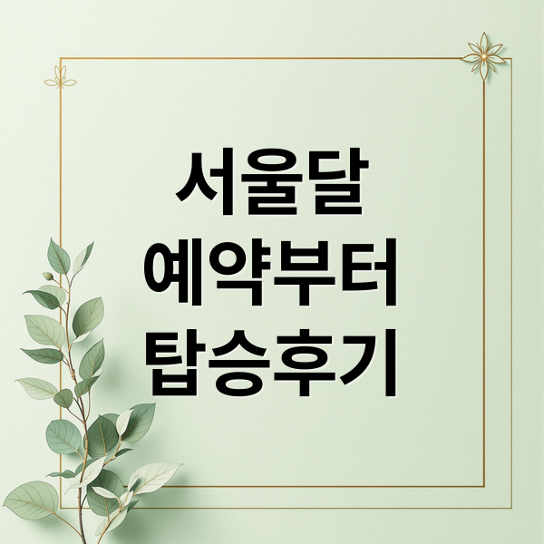 서울달 여의도 열기구 야경