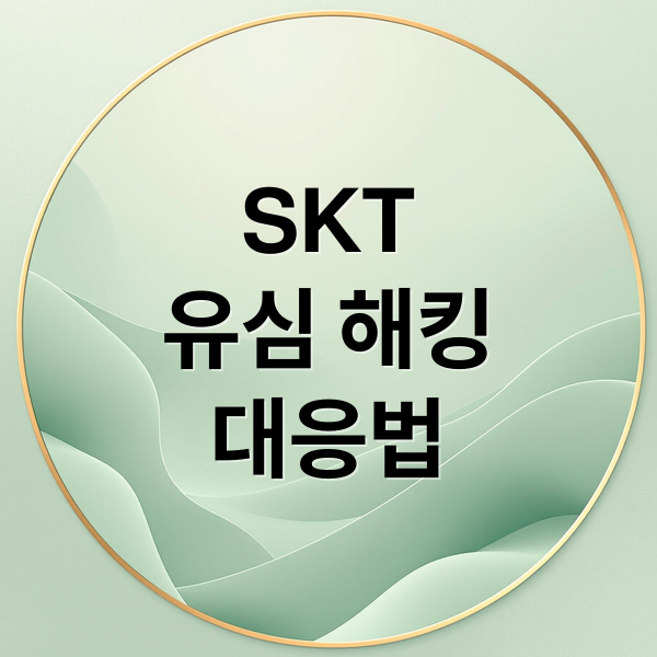 SKT
유심 해킹
대응법 (SKT 해킹 유심)