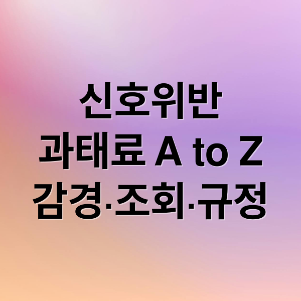 신호위반
과태료 A to Z
감경·조회·규정 (신호위반 과태료 감경 방법)