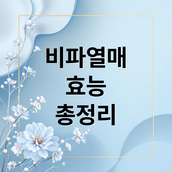 비파열매
효능
총정리 (비파열매 효능 먹는법)