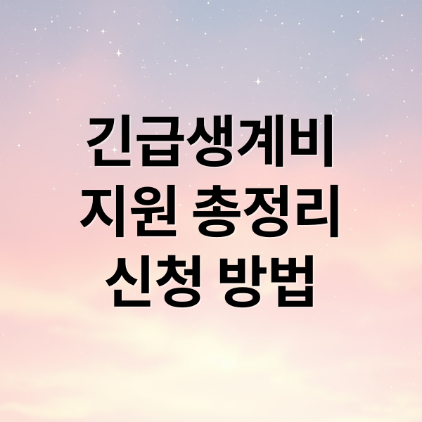 긴급생계비
지원 총정리
신청 방법 (긴급생계비 지원 조건 신청)