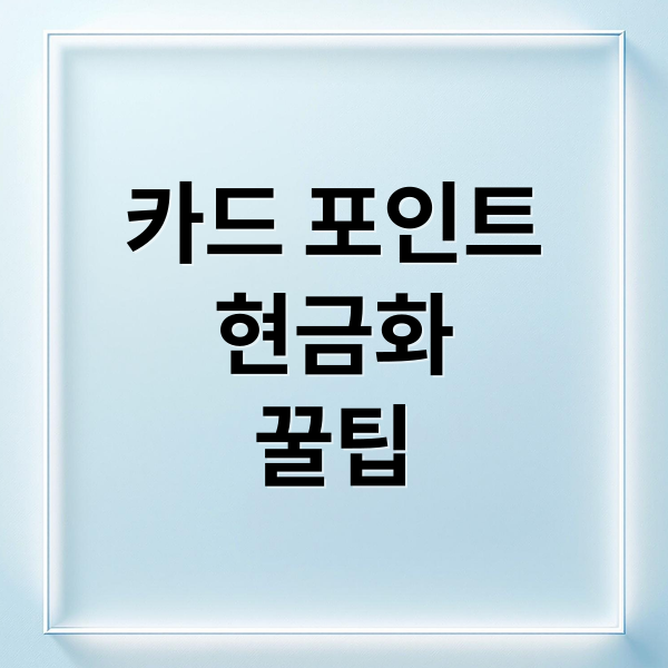 카드 포인트
현금화
꿀팁 (12월 신용카드 포인트 소멸)