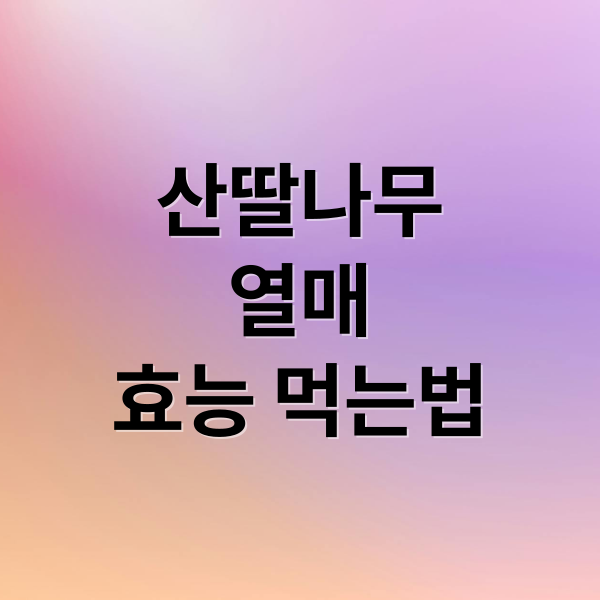 산딸나무
열매
효능 먹는법 (산딸나무 열매 효능)