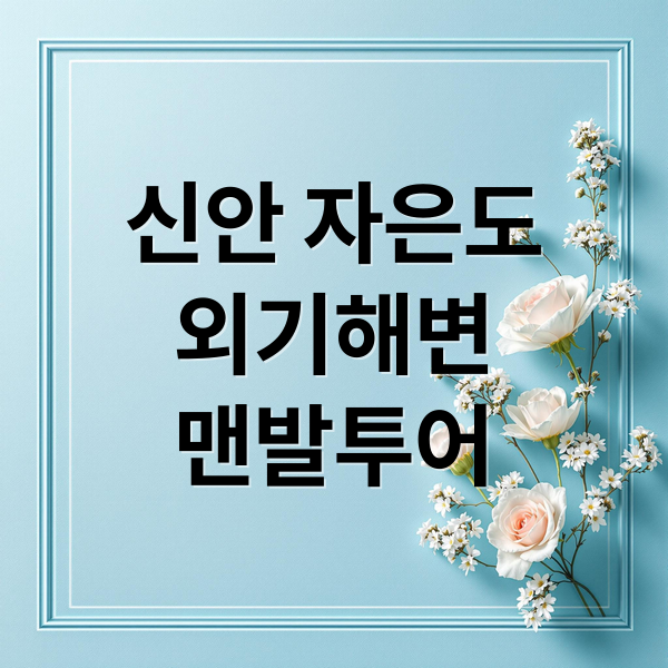 신안 자은도
외기해변
맨발투어 (신안 자은도 외기해변 맨발투어)