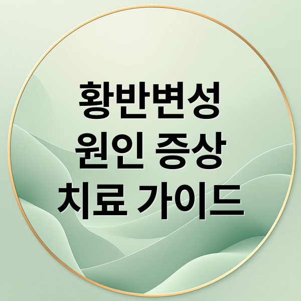 황반변성
원인 증상
치료 가이드 (황반변성 증상 원인 자가진단)