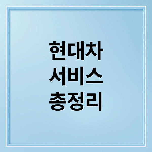 현대차
서비스
총정리 (현대자동차 서비스센터)