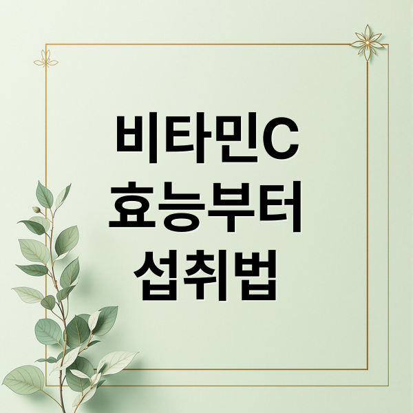 비타민C
효능부터
섭취법 (비타민C 과다복용)