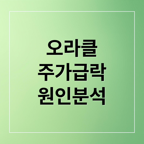 오라클
주가급락
원인분석 (오라클 실적발표)
