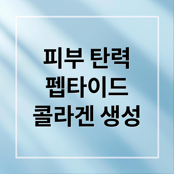 피부 탄력
펩타이드
콜라겐 생성 (피부 탄력 펩타이드)