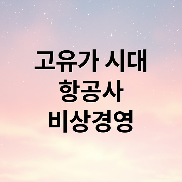 고유가 시대
항공사
비상경영 (국내 항공사 비상경영 고유가)