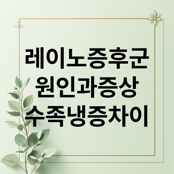 레이노증후군
원인과증상
수족냉증차이 (레이노 증후군)