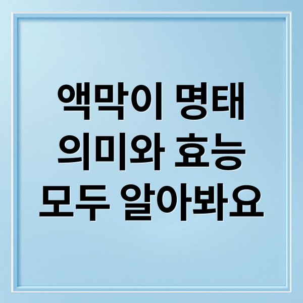액막이 명태
의미와 효능
모두 알아봐요 (액막이 명태)