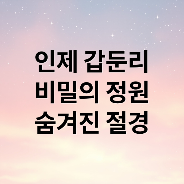 인제 갑둔리
비밀의 정원
숨겨진 절경 (갑둔리 비밀의 정원)