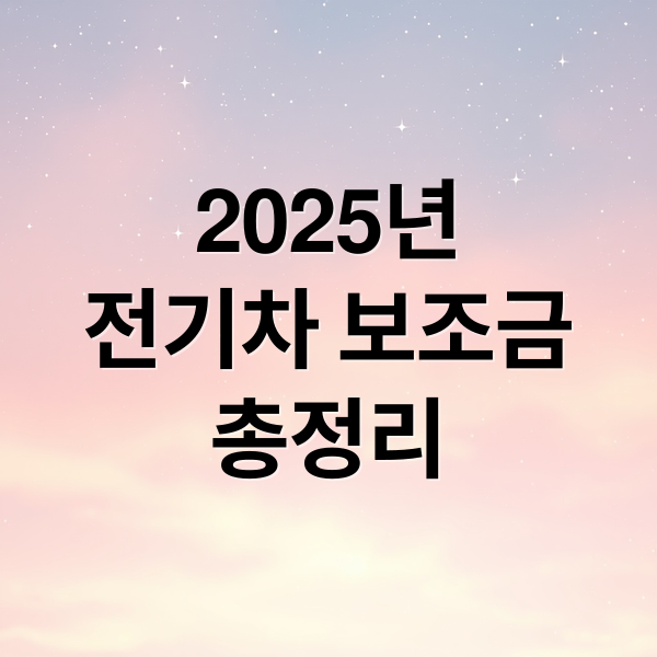 2025년
전기차 보조금
총정리 (2025 전기차 보조금 신청방법)