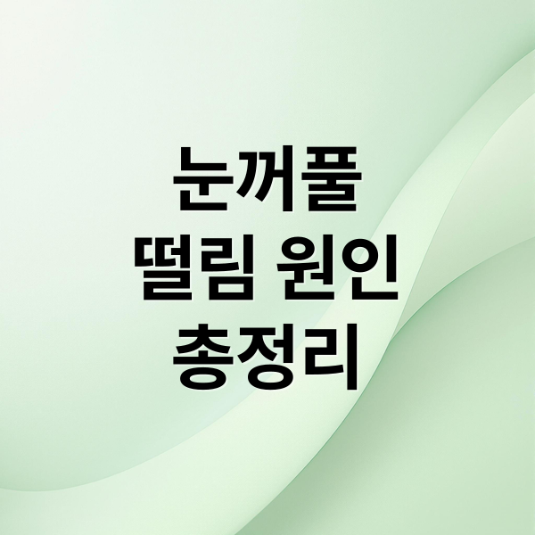 눈꺼풀
떨림 원인
총정리 (눈꺼풀 떨림 증상)