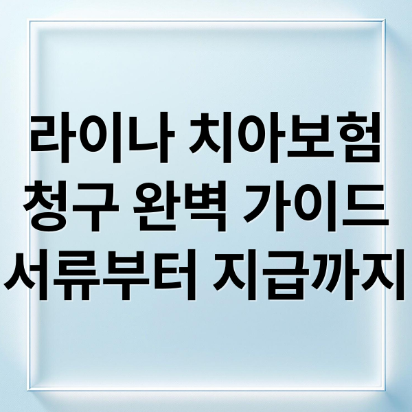 라이나 치아보험
청구 완벽 가이드
서류부터 지급까지 (라이나 치아보험 청구서류)