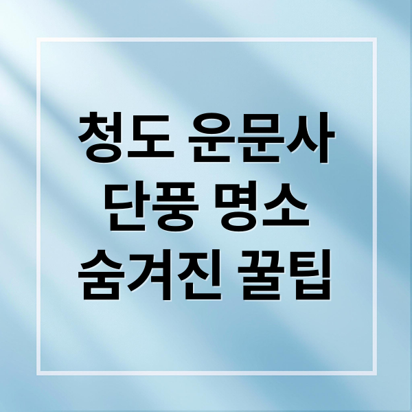 청도 운문사
단풍 명소
숨겨진 꿀팁 (청도 운문사 단풍 명소)