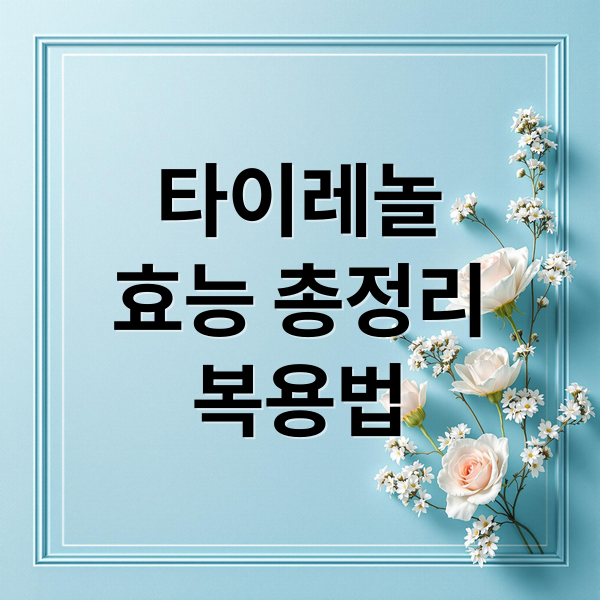 타이레놀
효능 총정리
복용법 (타이레놀 효능 부작용 복용법)