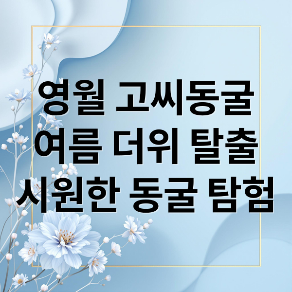 영월 고씨동굴
여름 더위 탈출
시원한 동굴 탐험 (영월 고씨동굴 여름 탐방)