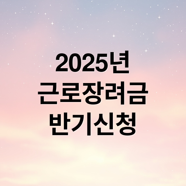 2025년
근로장려금
반기신청 (2025 근로장려금 반기신청)