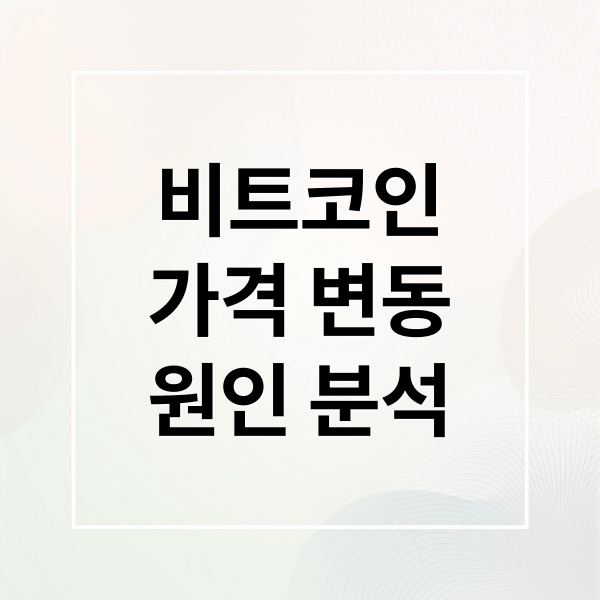 비트코인
가격 변동
원인 분석 (비트코인 전망)
