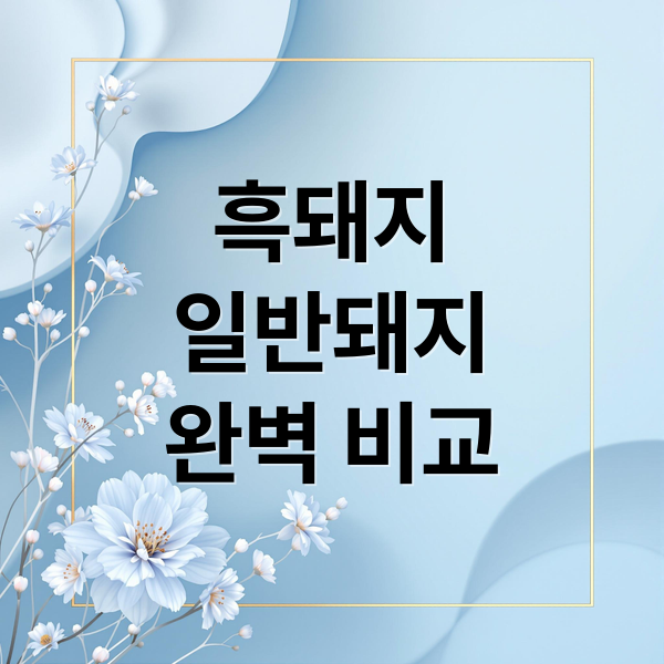 흑돼지
일반돼지
완벽 비교 (흑돼지 돼지 차이)