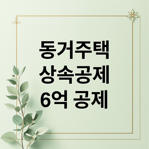 동거주택
상속공제
6억 공제 (1주택 상속세 핵심)
