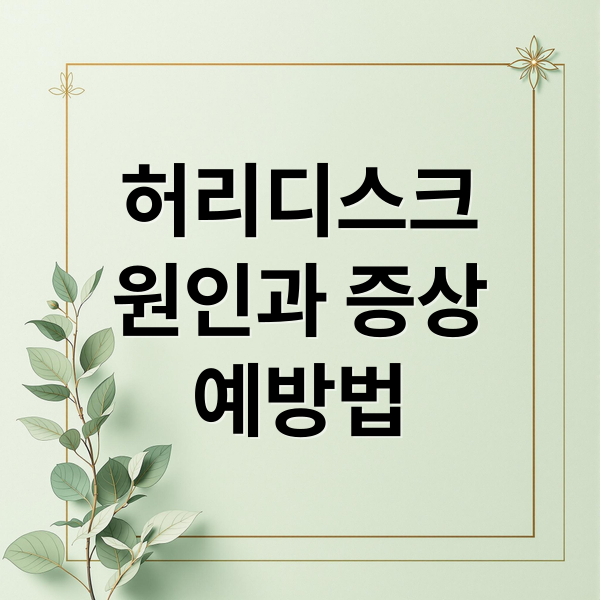 허리디스크
원인과 증상
예방법 (허리디스크 증상 및 예방)