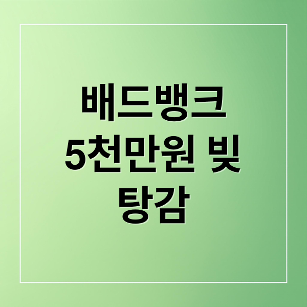 배드뱅크
5천만원 빚
탕감 (5천만원 빚 배드뱅크 113만명)