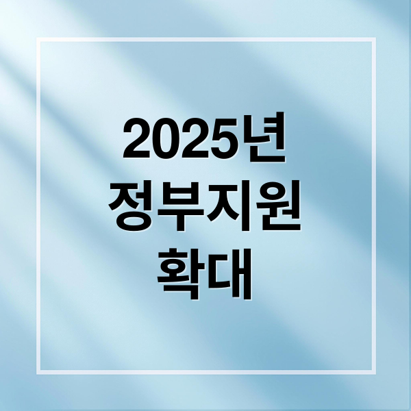 2025년
정부지원
확대 (2025 정부지원사업)