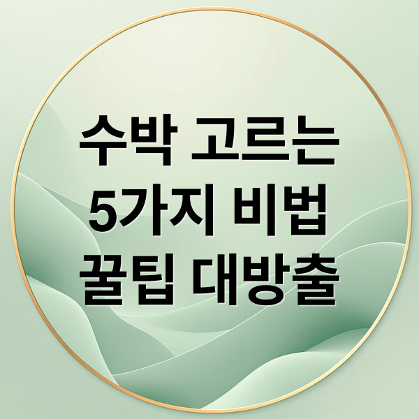 수박 고르는
5가지 비법
꿀팁 대방출 (수박 고르는법)