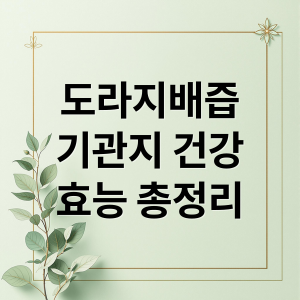 도라지배즙
기관지 건강
효능 총정리 (도라지배즙 효능 섭취법)