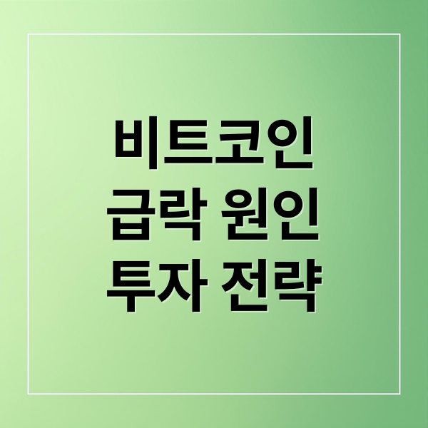 비트코인 급락과 투자 전략 이미지