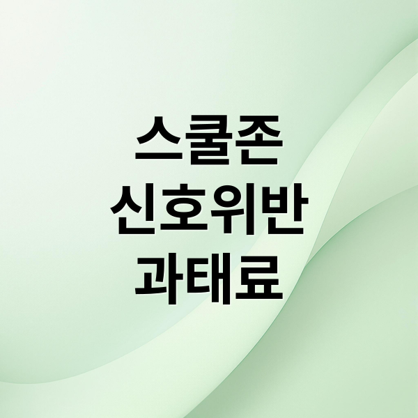 스쿨존
신호위반
과태료 (신호위반 과태료 벌점 스쿨존)