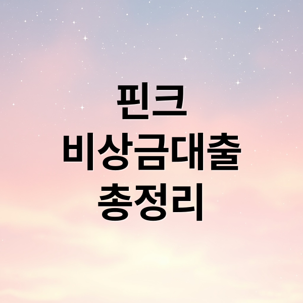 핀크
비상금대출
총정리 (핀크 비상금대출 5.94%)