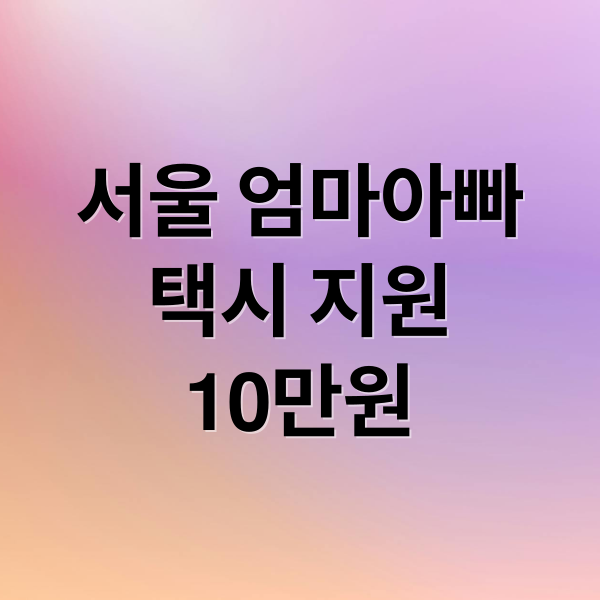 서울 엄마아빠
택시 지원
10만원 (서울엄마아빠 택시비 지원)