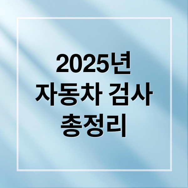 2025년
자동차 검사
총정리 (자동차 검사 기간 조회 연장)