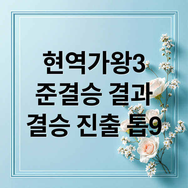 현역가왕3
준결승 결과
결승 진출 톱9 (현역가왕3 결승진출자 톱9)