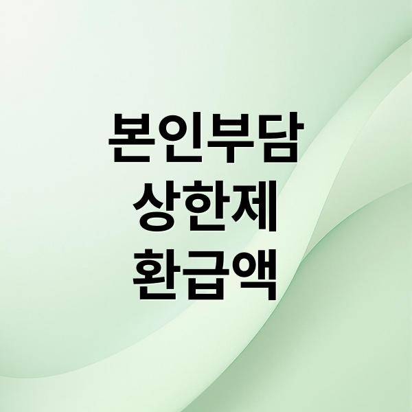 본인부담
상한제
환급액 (본인부담상한제 소득분위)