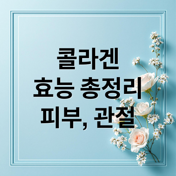 콜라겐
효능 총정리
피부, 관절 (콜라겐 효능)
