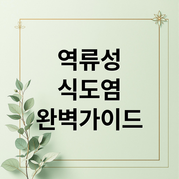 역류성
식도염
완벽가이드 (역류성 식도염 식사법 식후 30분)