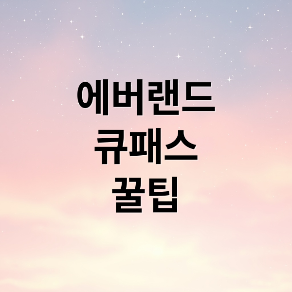 에버랜드
큐패스
꿀팁 (에버랜드 큐패스 Plan-it 3)