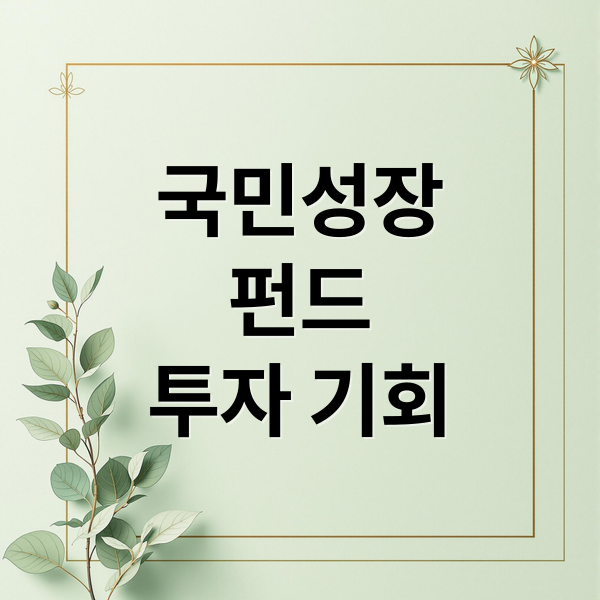 국민성장
펀드
투자 기회 (국민성장펀드가입)